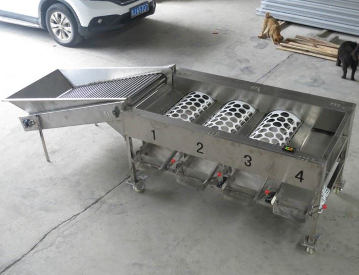 tomato size sorting machine