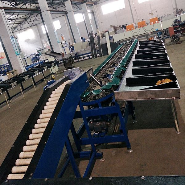 Electronic Weight Sorting Machine