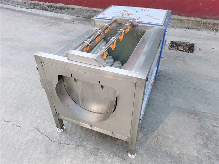 Potato Washing Machine