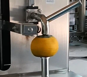 Pineapple Peeling Machine best