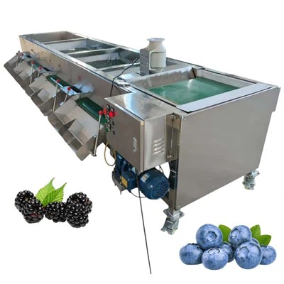Flokkun flokkunar bláberja stiggráðu Blueberry Sorter